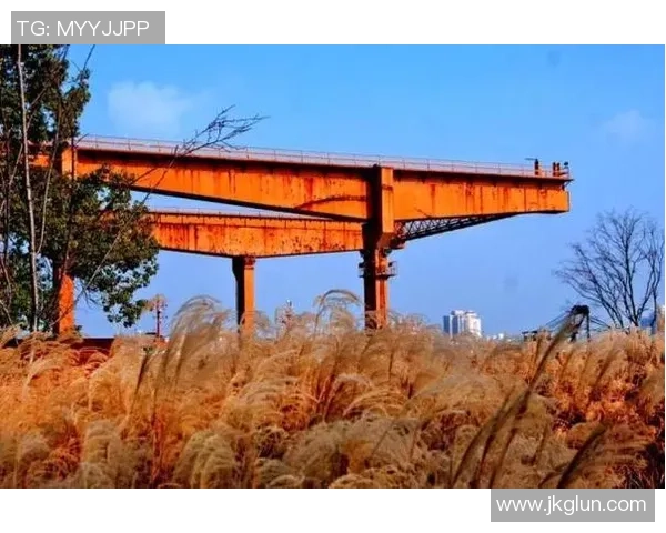 芦苇足球：在自然与运动交融中探索生态体育的新魅力与发展潜力